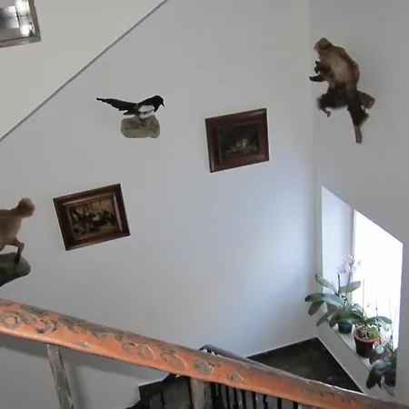 Hohl Guest house Donnersbachwald