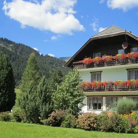 Hohl Donnersbachwald